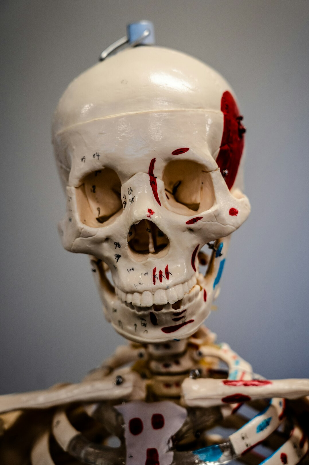 medical training class