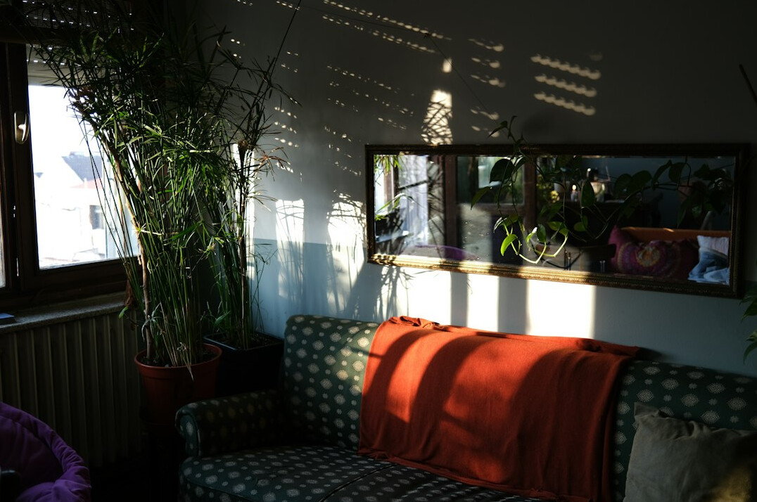 Calm room with a sofa, plants and a cup of tea