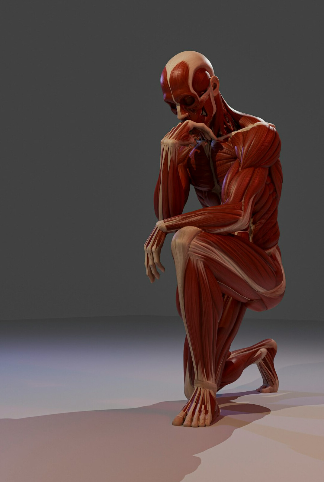 anatomy study session